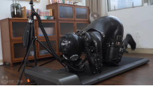 フィットネスの人型犬
